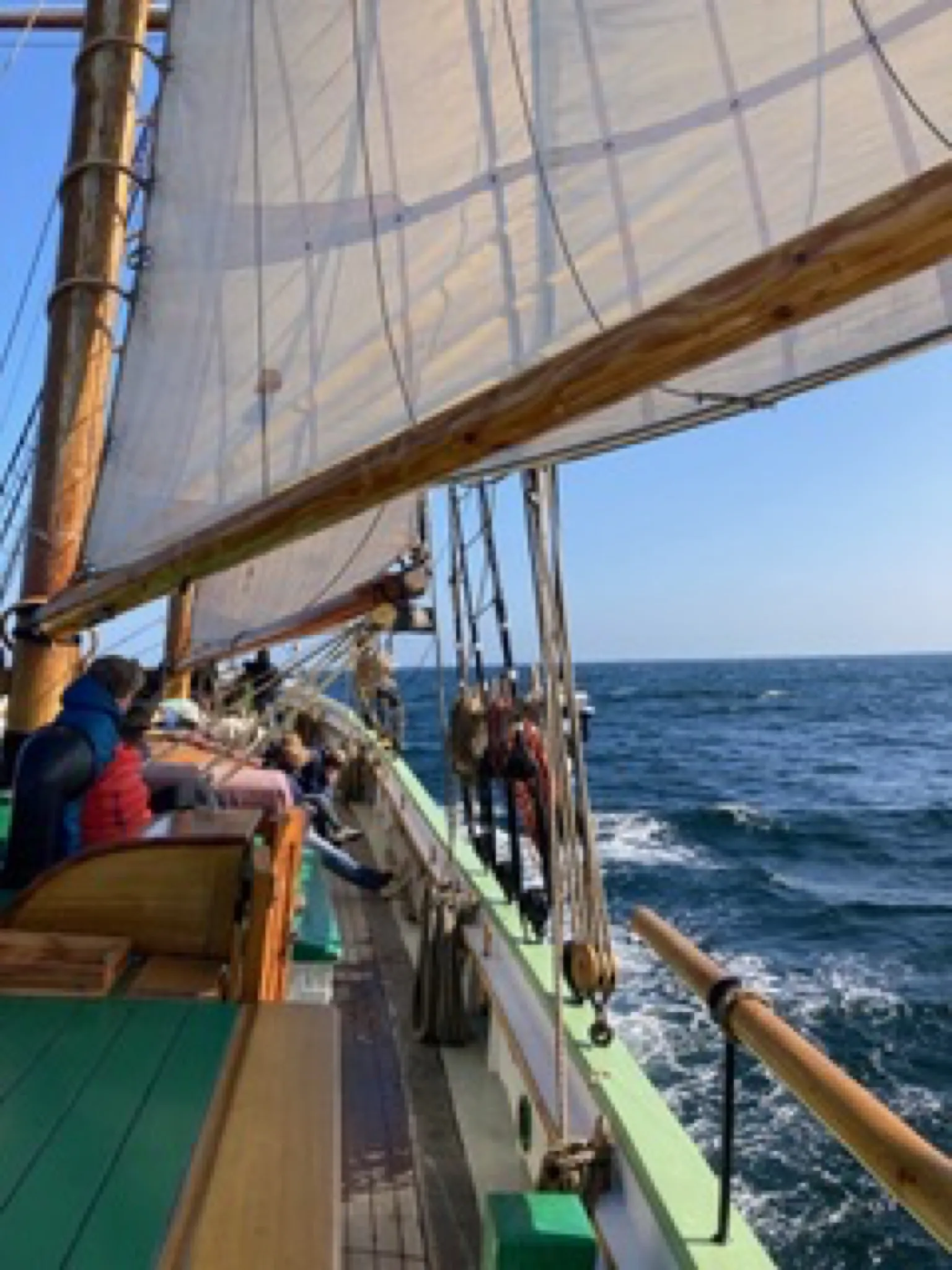 Guests sit along the rail while Aron sails in a fresh breeze